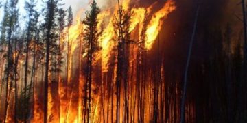 കാനഡയിലെ കാട്ടുതീ; പുകപടലം അമേരിക്കയിലേക്ക് വ്യാപിക്കുന്നു: ജാഗ്രതാ നിർദേശം