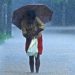 സംസ്ഥാനത്ത് മഴ തുടരും: വടക്കൻ കേരളത്തിൽ ശക്തമായ മഴയ്ക്ക് സാധ്യത; യെല്ലോ അലർട്ട്