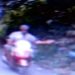മാലിന്യം വലിച്ചെറിഞ്ഞയാളെക്കുറിച്ച് വിവരം നൽകിയാൽ 1000 രൂപ പാരിതോഷികം