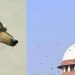 കേരളത്തിൽ നായകൾക്കെതിരായ അക്രമം തടയാൻ സുപ്രീം കോടതിയിൽ ഹർജി