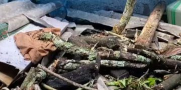 ഇടുക്കിയില്‍ മരം വീണ് വീട് തകര്‍ന്നു