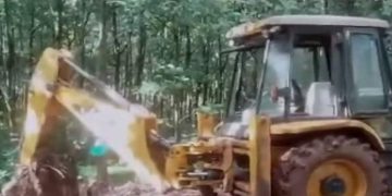 വാഴക്കോട്ടെ ആനക്കൊല : ആനയെ കുഴിച്ചിടാൻ എത്തിയ 2 പേർ കസ്റ്റ‍ഡിയിൽ