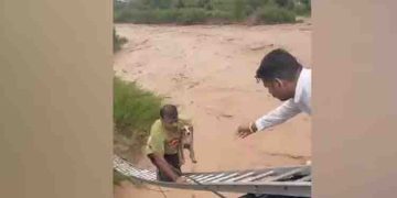 വെള്ളക്കെട്ടിൽ കുടുങ്ങിയ നായയെ രക്ഷിക്കാൻ യുവാവിന്റെ സാഹസികത; വൈറലായി വീഡിയോ