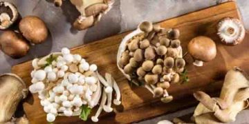 പ്രമേഹ രോഗികള്‍ക്ക് മഷ്‌റൂം കഴിക്കാമോ?