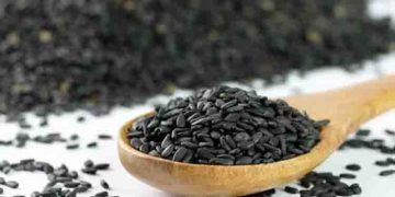 എള്ളിനെ നിസാരമായി കാണേണ്ട, ​ഗുണങ്ങൾ പലതാണ്