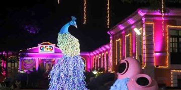 ഗോവ ഫിലിം ഫെസ്റ്റിവലിൽ വെബ് സീരീസിനുള്ള പുതിയ പുരസ്കാര വിഭാഗം; പ്രഖ്യാപിച്ച് അനുരാഗ് താക്കൂർ