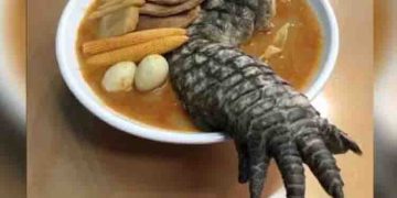 വിചിത്ര ഭക്ഷണം വിളമ്പി റെസ്റ്റോറെന്‍റ്; കണ്ടിട്ടു തന്നെ പേടിയാകുന്നുവെന്ന് ആളുകള്‍…