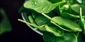 പതിവായി പാലക് ചീര കഴിക്കുന്നതു കൊണ്ടുള്ള ഗുണങ്ങള്‍…