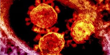 യുഎഇയില്‍ മെര്‍സ് വൈറസ് സ്ഥിരീകരിച്ചു