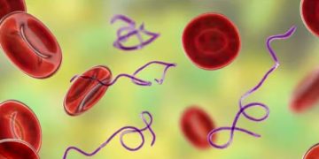 പ്ലേറ്റ്‍ലെറ്റ് കൗണ്ട് കുറഞ്ഞാൽ ശരീരം കാണിക്കുന്ന ചില ലക്ഷണങ്ങൾ