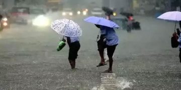 കാസർകോഡ് ജില്ലയിലെ വിദ്യാഭ്യാസ സ്ഥാപനങ്ങൾക്ക് ബുധനാഴ്ച അവധി