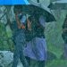 കോട്ടയം ജില്ലയിലെ വിദ്യാഭ്യാസ സ്ഥാപനങ്ങൾക്ക് നാളെ അവധി