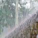 പന്തളത്ത് കാറ്റിലും മഴയിലും വ്യാപക നാശം; അച്ചൻകോവിലാറ്റിൽ ജലനിരപ്പ് ഉയർന്നു