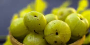 മുടിയുടെ സംരക്ഷണത്തിന് നെല്ലിക്ക ; ഈ രീതിയിൽ ഉപയോ​ഗിക്കൂ