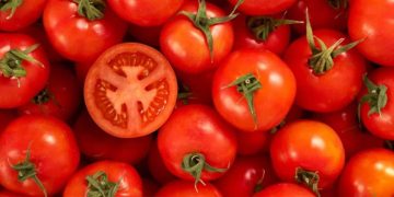 തക്കാളിയുടെ വിലക്കയറ്റം നിയന്ത്രിക്കാന്‍ ഇടപെടലുമായി കേന്ദ്ര സര്‍ക്കാര്‍