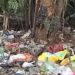 മാലിന്യം തള്ളൽ: കൊച്ചിയിൽ ആറ് കേസ് കൂടി രജിസ്റ്റർ ചെയ്തു