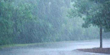 ബംഗാൾ ഉൾക്കടലിൽ ന്യൂനമർദം; സംസ്ഥാനത്ത് 5 ദിവസം വ്യാപക മഴയ്ക്ക് സാധ്യത