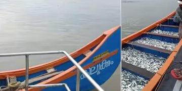 അഴീക്കോട്  തീരത്ത് ‘കിലുക്കം’ വള്ളത്തിൽ ഫിഷറീസ് ഉദ്യോഗസ്ഥരുടെ പരിശോധന, കണ്ടെത്തിയ ചെറുമീനുകൾക്ക് രക്ഷ!