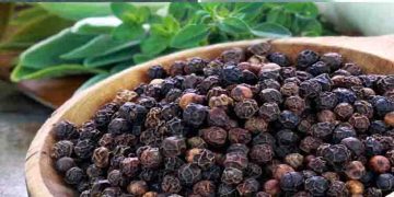 ഭക്ഷണത്തില്‍ കുരുമുളക് ഉള്‍പ്പെടുത്താറുണ്ടോ? എങ്കില്‍, നിങ്ങള്‍ അറിയേണ്ടത്…