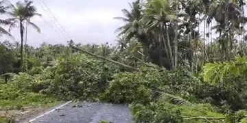 ഇരിങ്ങാലക്കുടയിലും ചാലക്കുടിയിലും മിന്നൽച്ചുഴലി ; വ്യാപക നാശനഷ്ടം