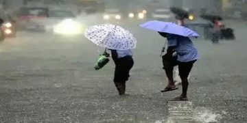 സംസ്ഥാനത്ത് നാളെ അഞ്ച് ജില്ലകളിൽ വിദ്യാഭ്യാസ സ്ഥാപനങ്ങൾക്ക് അവധി