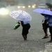 സംസ്ഥാനത്ത് നാളെ അഞ്ച് ജില്ലകളിൽ വിദ്യാഭ്യാസ സ്ഥാപനങ്ങൾക്ക് അവധി
