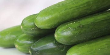 കുക്കുമ്പർ ഇങ്ങനെ കഴിക്കൂ.. ഒരാഴ്ച കൊണ്ട് ശരീരത്തിൽ പല വ്യത്യാസങ്ങളും കാണാം