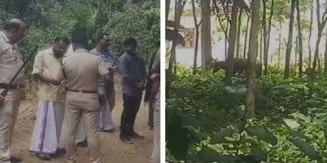 വെട്ടാൻ കൊണ്ടുവന്ന പോത്തുകൾ വിരണ്ടോടി ; രണ്ട് പേർക്ക് കുത്തേറ്റു,