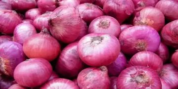 സവാളയുടെ കയറ്റുമതിക്ക് 40 ശതമാനം തീരുവ ചുമത്തി കേന്ദ്രം