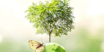 ഭാവിയുടെ ഇന്ധനം ; ഗ്രീന്‍ ഹൈഡ്രജൻ ഉത്പാദനം വർധിപ്പിക്കാൻ ഗള്‍ഫ് രാജ്യങ്ങള്‍