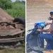 കുമ്പള അപകട മരണം; ആരോപണവിധേയനായ എസ്ഐയുടെ കുടുംബത്തിന് വധഭീഷണിയെന്ന് പരാതി