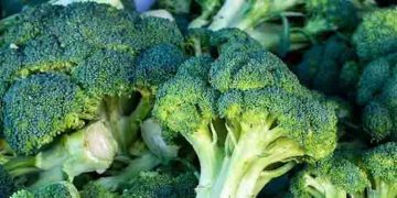 ബ്രൊക്കോളി ഭക്ഷണത്തിൽ ഉൾപ്പെടുത്തൂ, നിരവധിയാണ് ആരോ​ഗ്യ​ഗുണങ്ങൾ