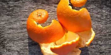 ഓറഞ്ചിന്‍റെ തൊലി വെറുതേ കളയേണ്ട; മുഖത്തെ കറുത്ത പാടുകളെയും ചുളിവുകളെയും മാറ്റാന്‍ ഇങ്ങനെ ഉപയോഗിക്കാം…