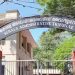 കോളേജ് പ്രിൻസിപ്പൽ നിയമനം : 43 അംഗ പട്ടികയിൽ നിന്ന് ഉടൻ നിയമനം നടത്താൻ ട്രൈബ്യൂണൽ ഉത്തരവിട്ടു
