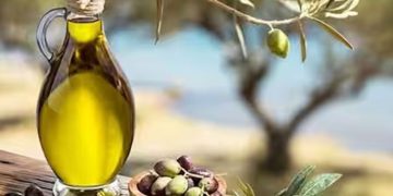 അറിയാം ഒലീവ് ഓയിലിന്റെ ആരോഗ്യഗുണങ്ങൾ