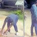 ഫോണ് തിരികെ നല്കാന് കാലു പിടിപ്പിച്ച സംഭവം; എസ് സി എസ്ടി കമ്മീഷന് സ്വമേധയാ കേസെടുത്തു
