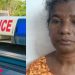 വേലിയെ ചൊല്ലി തർക്കം, കലികൊണ്ട് വീട്ടമ്മ; അയൽവാസികളായ അച്ഛനെയും മകനെയും വെട്ടിക്കൊല്ലാൻ ശ്രമം, അറസ്റ്റ്