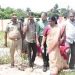 ‘കുഴിച്ചുമൂടിയത് 20 തെരുവുനായ്ക്കളെ, ക്രൂരത’; അന്വേഷണം നടത്തി മുഖ്യമന്ത്രിക്ക് റിപ്പോർട്ട് നൽകുമെന്ന് മന്ത്രി