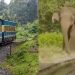 ട്രാക്കില് ഒറ്റയാന്, ഊട്ടി പൈതൃക ട്രെയിനിന്റെ യാത്രയില് കാലതാമസം