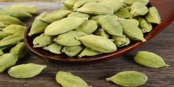 ഏലയ്ക്ക കഴിക്കുന്നത് ബിപി കുറയ്ക്കും? അറിയാം ഏലയ്ക്കയുടെ ആരോഗ്യഗുണങ്ങള്‍…