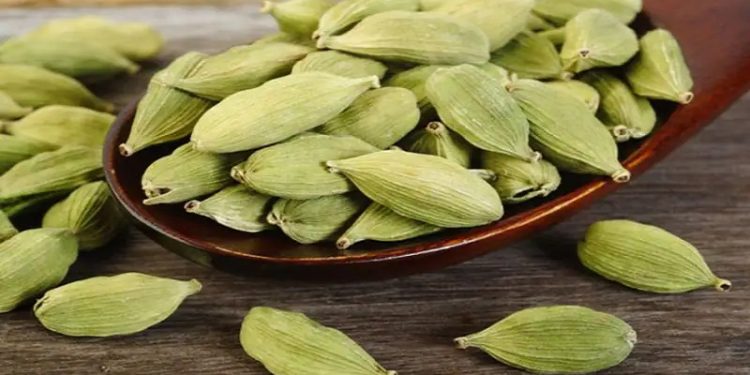 ഏലയ്ക്ക കഴിക്കുന്നത് ബിപി കുറയ്ക്കും? അറിയാം ഏലയ്ക്കയുടെ ആരോഗ്യഗുണങ്ങള്‍…