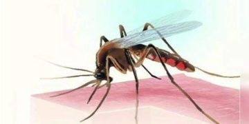 മഴക്കാലത്ത് മലേറിയ, ഡെങ്കി എന്നിവയിൽ നിന്ന് കുട്ടികളെ സംരക്ഷിക്കാം ; ഇക്കാര്യങ്ങൾ ശ്രദ്ധിക്കൂ