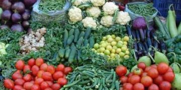 പ്ലാസ്റ്റിക് ബോക്സിൽ ഭക്ഷണം സൂക്ഷിക്കുന്നത് അപകടമാണോ? ഏതൊക്കെ ഭക്ഷണങ്ങൾ വെയ്ക്കാം?