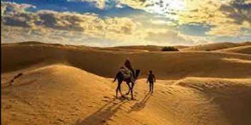 നൂറ്റാണ്ടിന്‍റെ അവസാനത്തോടെ താര്‍ മരുഭൂമി പച്ചപുതയ്ക്കും; കാരണം കാലാവസ്ഥാ വ്യതിയാനം