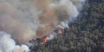 കൂട്ടുകാരുടെ മുന്നില്‍ ആളാവാന്‍ പടക്കം കൊണ്ട് ടെക്നിക്, കത്തിനശിച്ചത് 28 ഏക്കര്‍, 16കാരന്‍ പിടിയിൽ