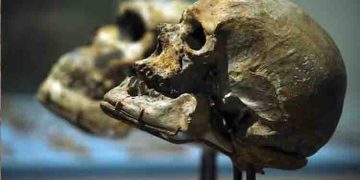 9 ലക്ഷം വർഷം മുമ്പ് മനുഷ്യൻ വംശനാശത്തിന്റെ വക്കിലെത്തി, അവശേഷിച്ചത് വെറും രണ്ടായിരത്തിൽ താഴെ മാത്രം പേർ-പഠനം