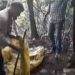 നിലമ്പൂരിൽ സ്വകാര്യ വ്യക്തിയുടെ പറമ്പിൽ എക്സൈസ് വാറ്റ് ചാരായ കേന്ദ്രം കണ്ടെത്തി