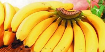 വാഴപ്പഴം ആരോ​ഗ്യത്തിന് ഹാനികരം? ഈ കാര്യങ്ങൾ അറിഞ്ഞിരുന്നാൽ നല്ലത്