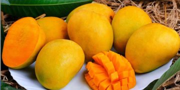 പ്രമേഹരോ​ഗികൾക്ക് മാമ്പഴം കഴിക്കാമോ?