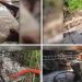 കടലില് മുക്കിയ കപ്പലില് നിന്ന് തീരത്തടിഞ്ഞ് ലഹരി; ആന്ഡമാനില് നശിപ്പിച്ചത് 100 കോടിയുടെ മയക്കുമരുന്ന്